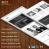 Buzz - Responsive Email Template