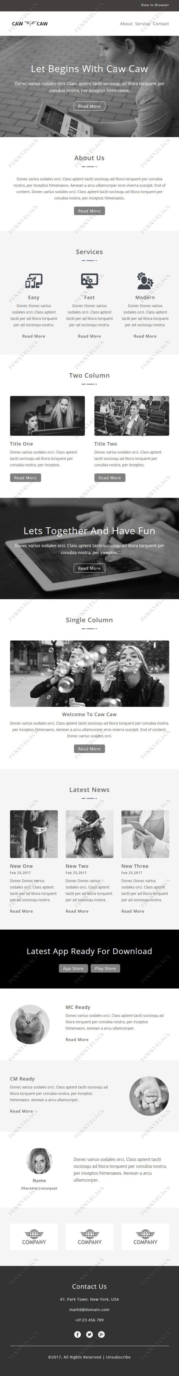 Caw Caw - Responsive Email Template