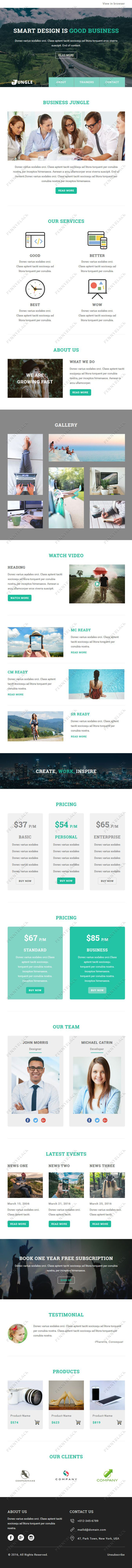 Jungle - Responsive Email Template