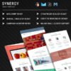 Synergy  - Responsive Email Template