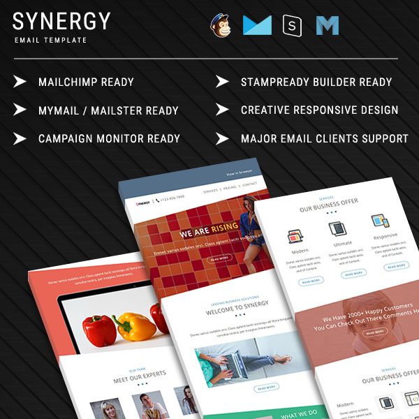 Synergy  - Responsive Email Template