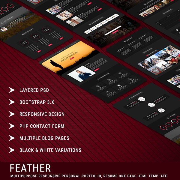 FEATHER - Multipurpose Responsive Personal Portfolio, Resume One Page HTML Template