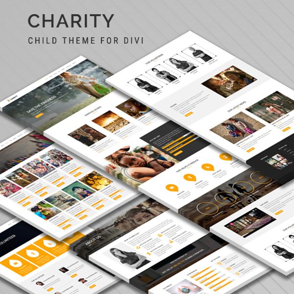 Charity - Child Theme for Divi