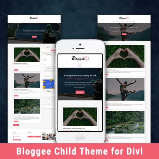 Bloggee - Blog Child Theme for Divi