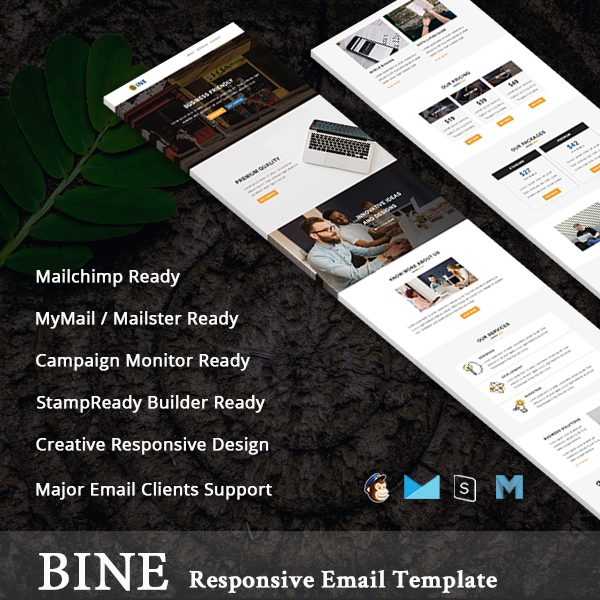 Bine - Multipurpose Responsive Email Template With Online StampReady Builder Access