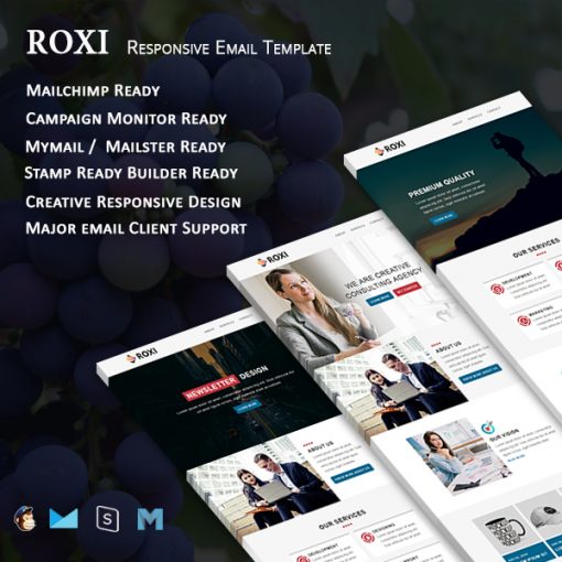 Roxi - Multipurpose Responsive Email Template With Online StampReady Builder Access