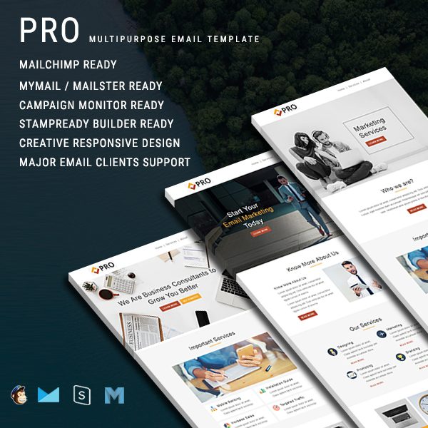 Pro - Multipurpose Responsive Email Template With Online StampReady Builder Access
