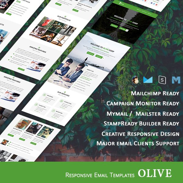 Olive - Multipurpose Responsive Email Template