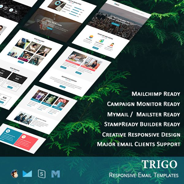 Trigo - Multipurpose Responsive Email Template