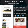 Sports Collection - Multipurpose Responsive Email Template with Countdown Timer