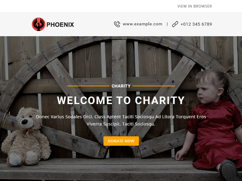 PHOENIX - Multi-Concept Responsive Email Pack Newsletters + Notifications-charity