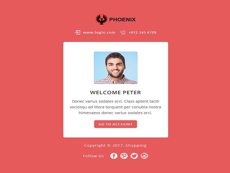 PHOENIX - Multi-Concept Responsive Email Pack Newsletters + Notifications-notify-1