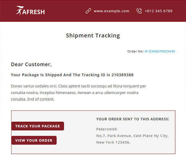 aFresh Multipurpose Email Templates-shipping-details