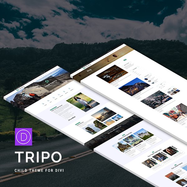 Tripo - Divi Child Theme