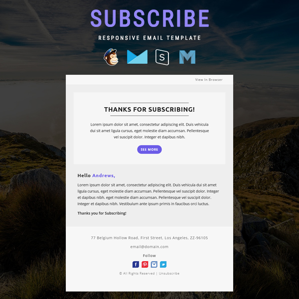 Subscribe - Email Newsletter Template