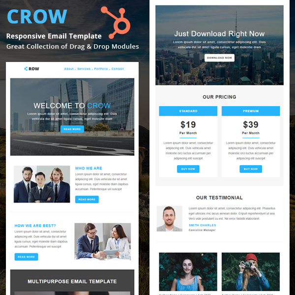 Crow - HubSpot Email Newsletter Template