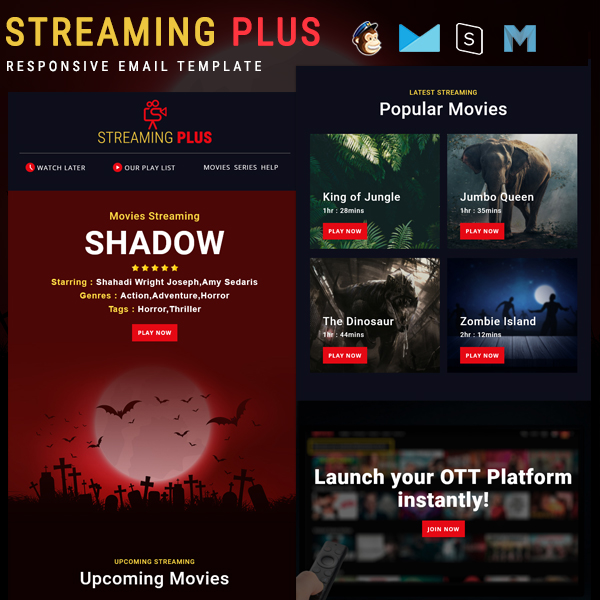 Streaming Plus - Responsive Email Template