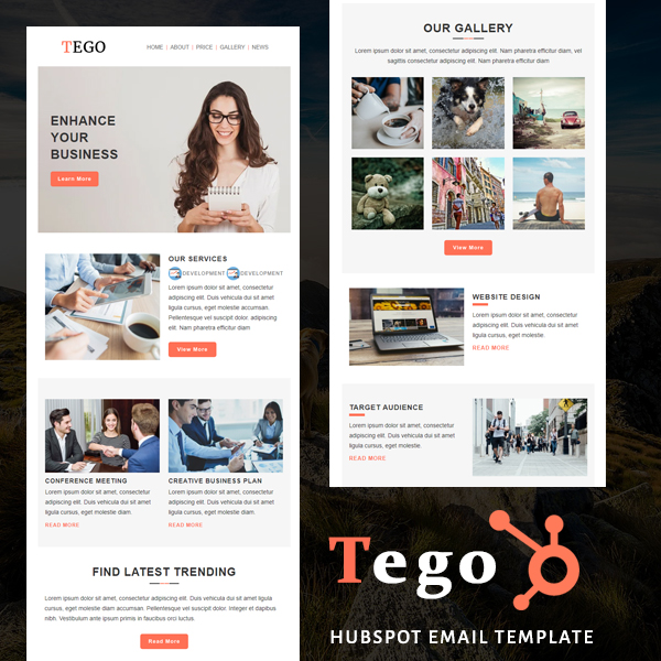Tego - HubSpot Email Newsletter Template